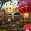 An uplifting experience at Bellagio's Conservatory & Botanical Gardens