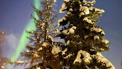 The northern lights put on a show in Fairbanks.