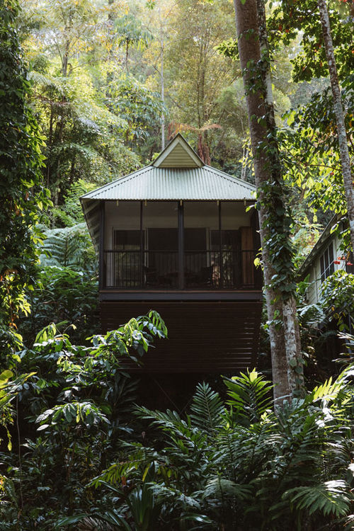 Intrepid owns the 15-room Daintree Ecolodge in North Queensland, Australia.